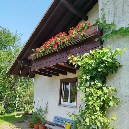 Διαμέρισμα Blaess Alpirsbach